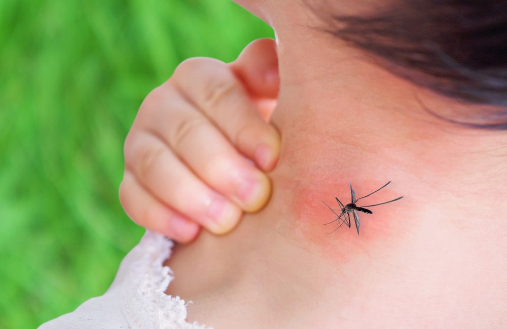 Reduction In Dengue Fever ©Kwangmoozaa / Shutterstock.com