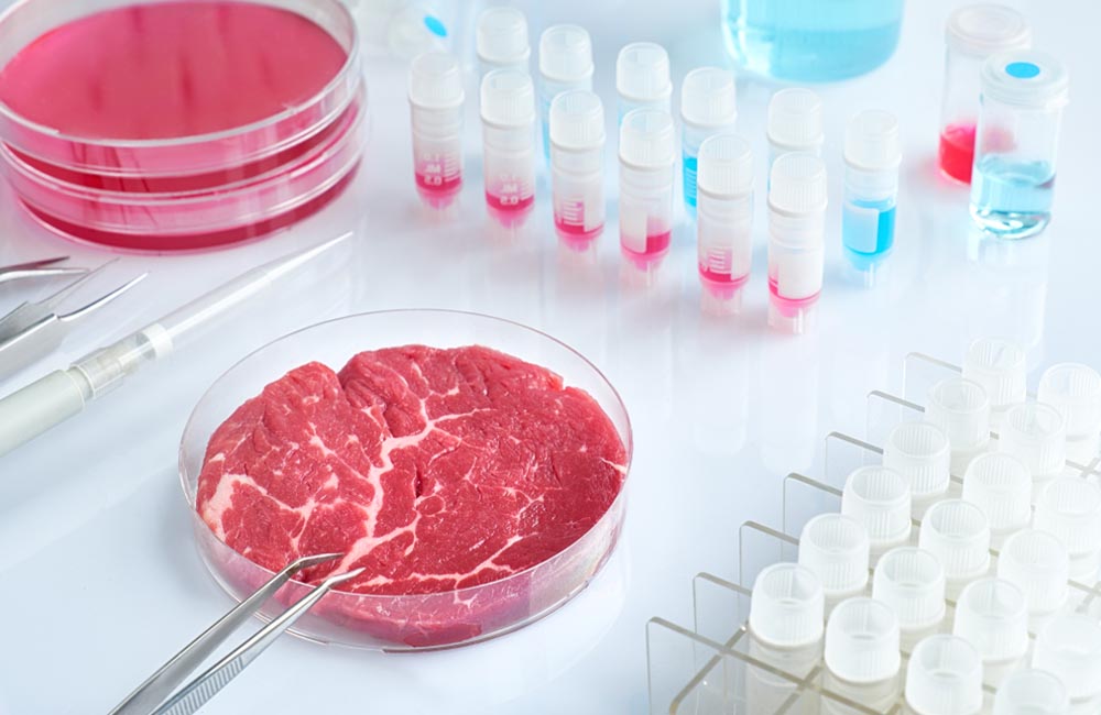 Lab-Grown Meat ©anyaivanova / Shutterstock.com