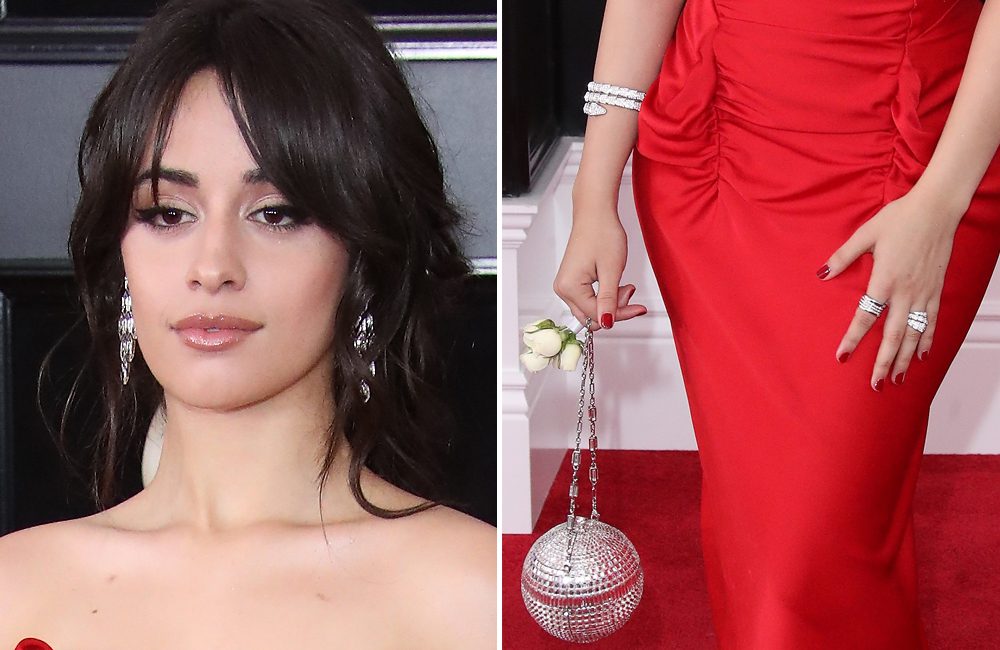 Camila Cabello's Glittering Pieces ©Dan MacMedan / Shutterstock.com